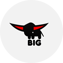 Big Logo