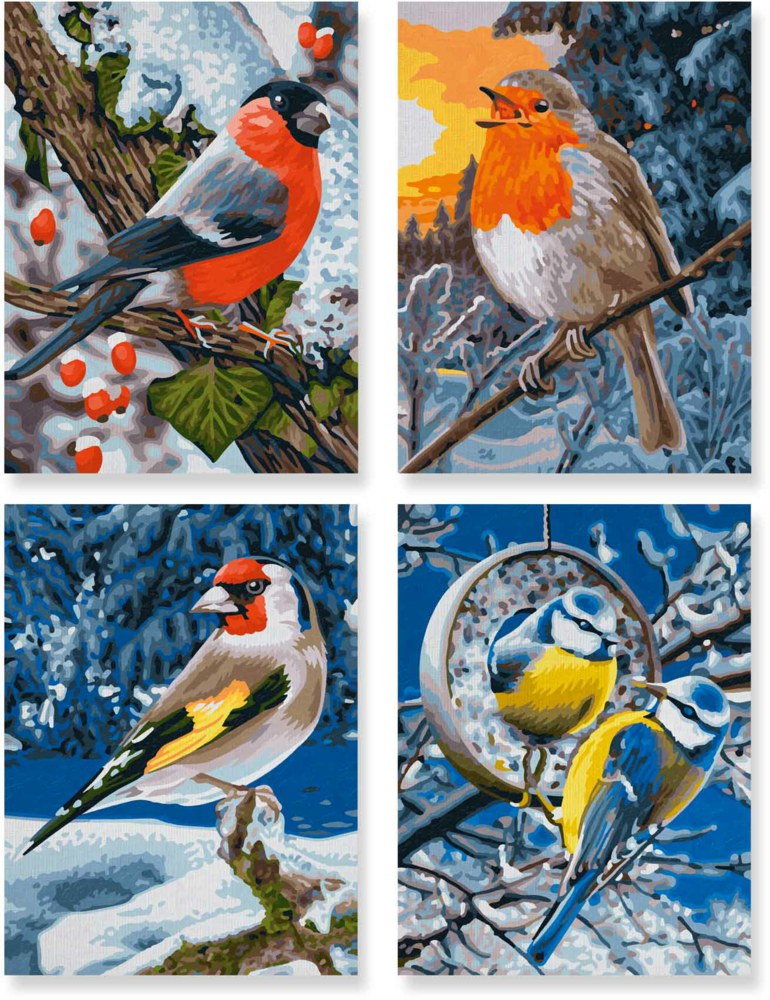 020-609340661 Wintervögel Malen nach Zahlen 
