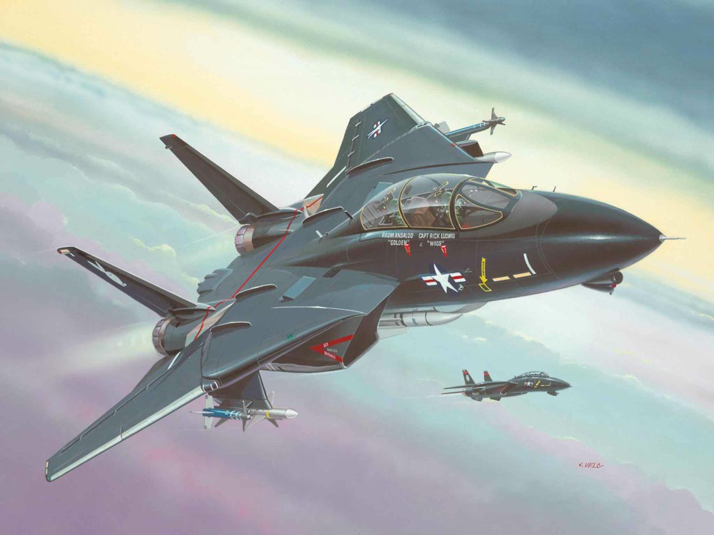 041-64029 Model Set F-14A Black Tomcat R