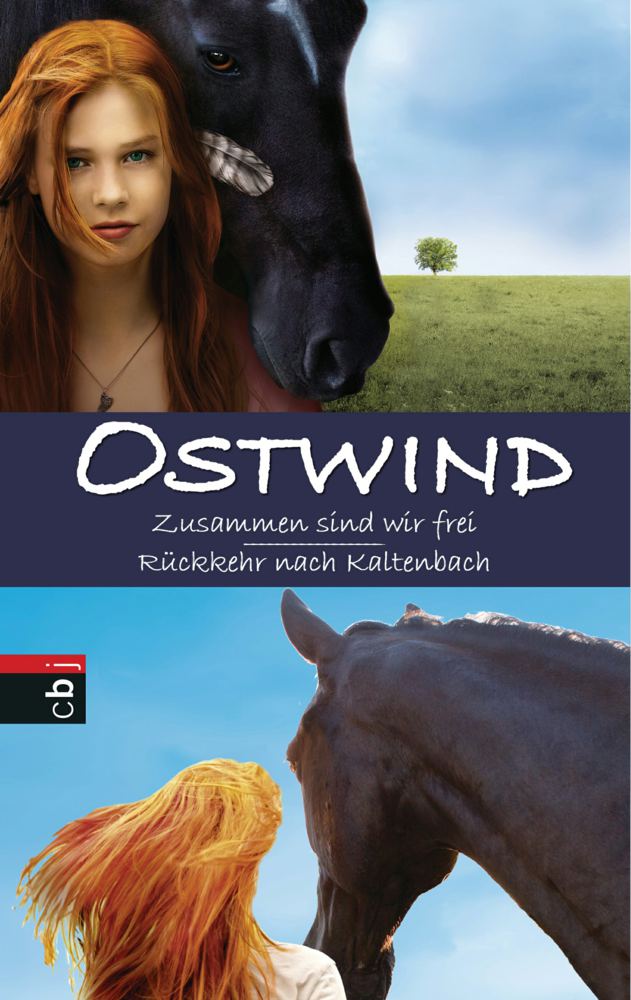 060-17200 Ostwind 1+2: Doppelbuch Zusamm