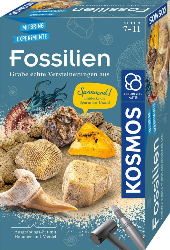 064-657918 Fossilien Ausgrabungs-Set     