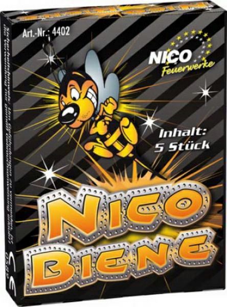 079-04402 Nico Biene Nico Jugendfeuerwer