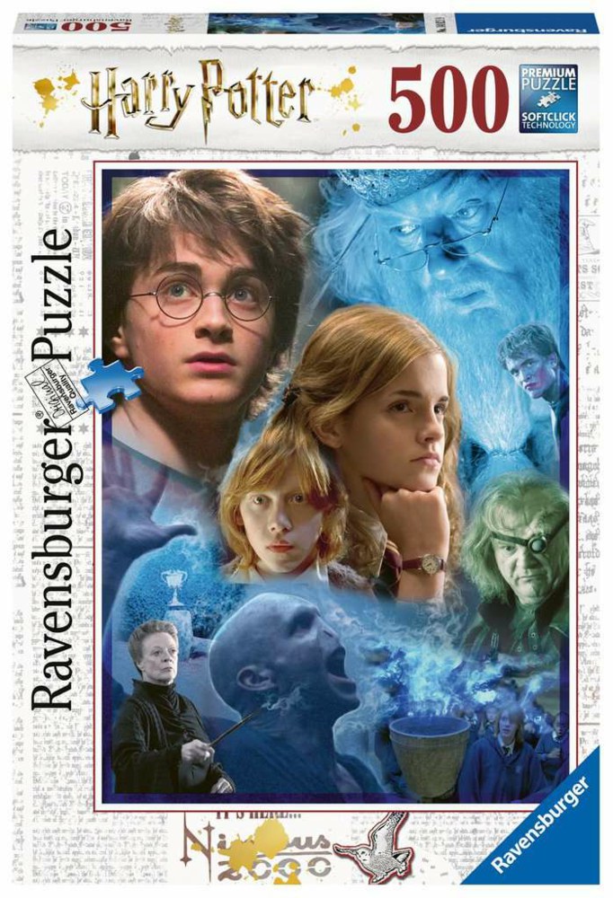 103-14821 Harry Potter in Hogwarts Raven