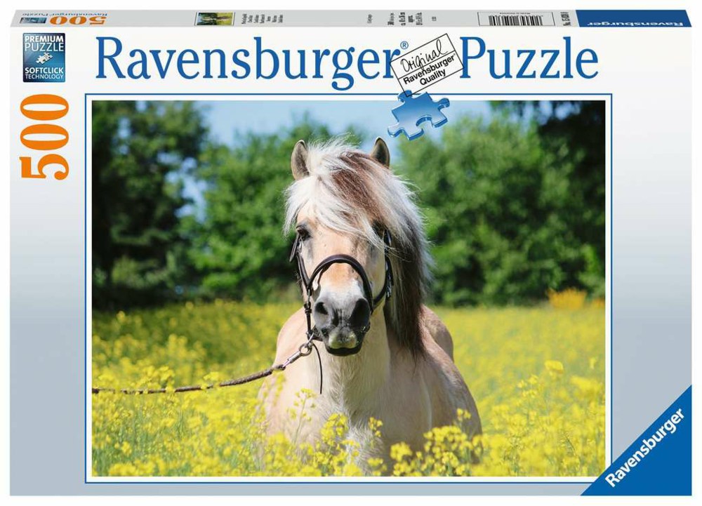 103-15038 Pferd im Rapsfeld Ravensburger