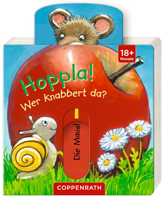 118-61709 Mini-Pappe mit Schiebern: Hopp