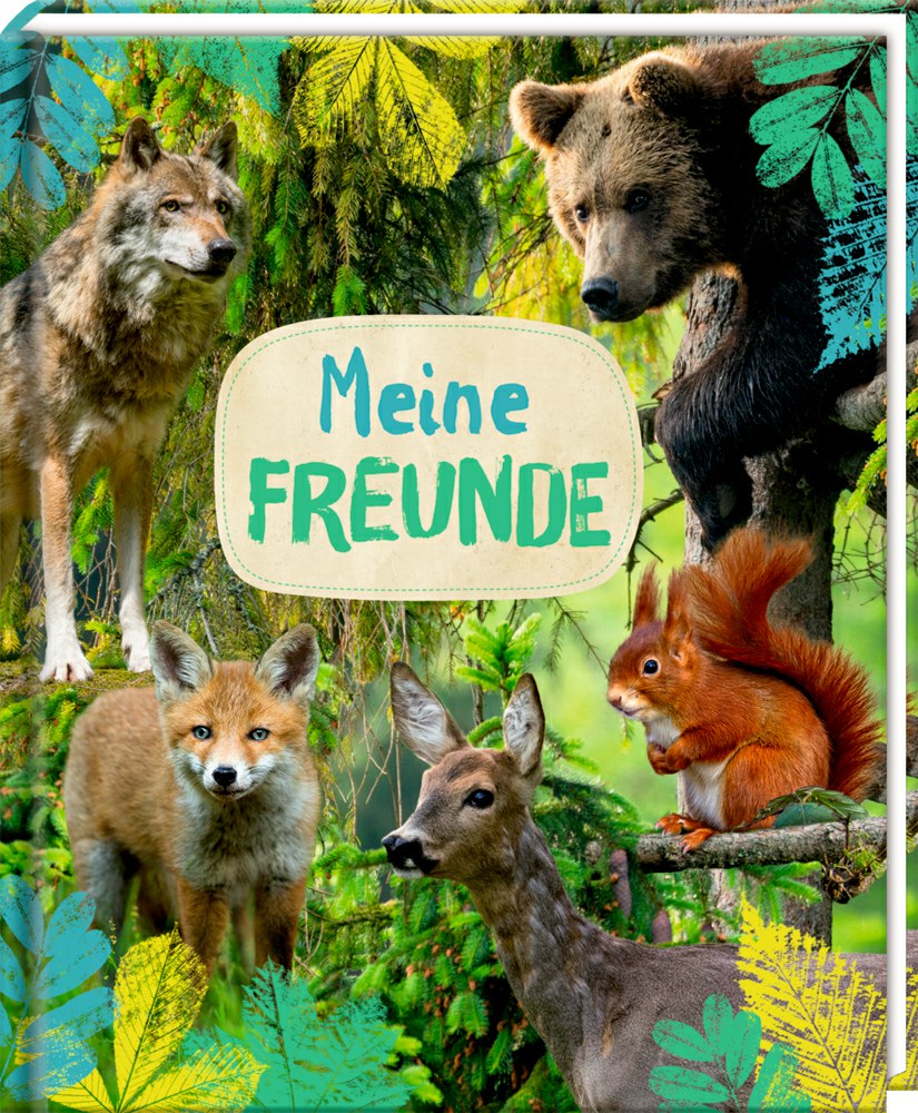 118-72020 Freundebuch: Meine Freunde (Na