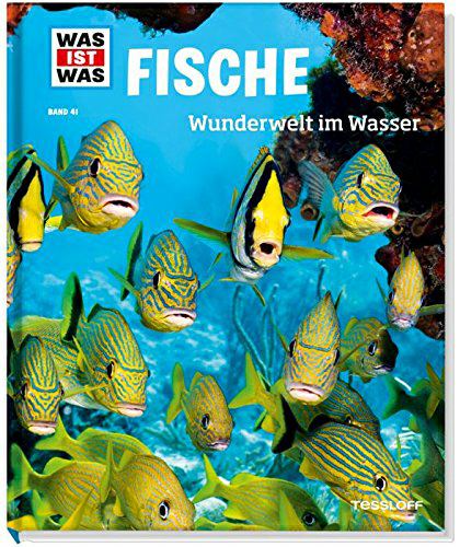 129-378862076 Band 41: Fische - Wunderwelt i
