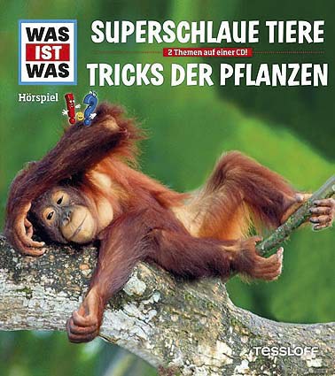 129-378864339 WIW Hörspiel-CD Superschlaue T