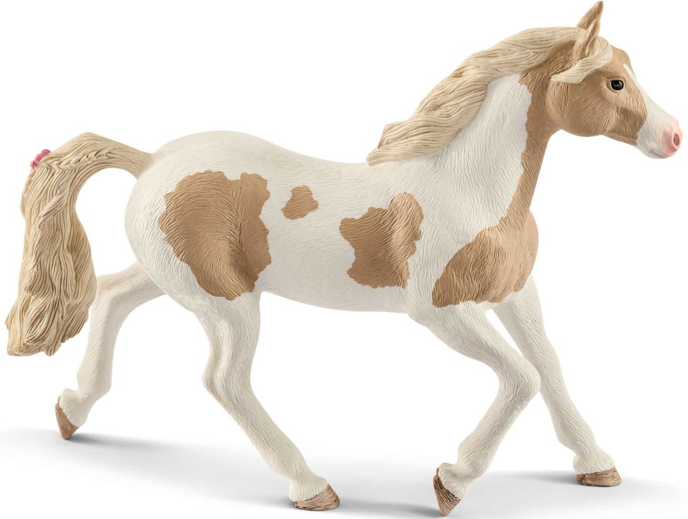 167-13884 Paint Horse Stute             