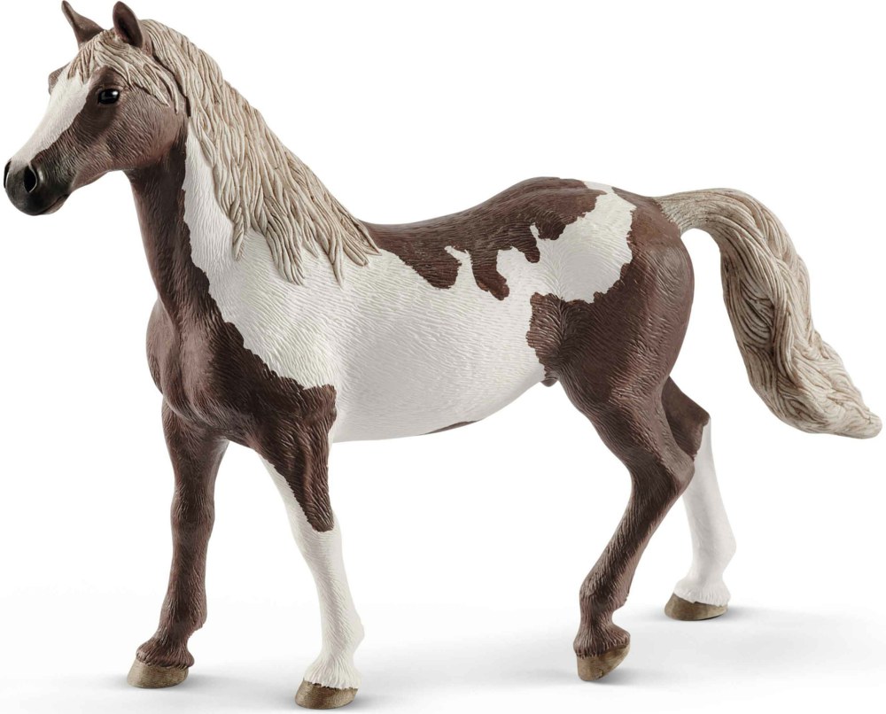 167-13885 Paint Horse Wallach           