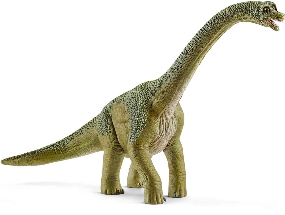 167-14581 Brachiosaurus                 