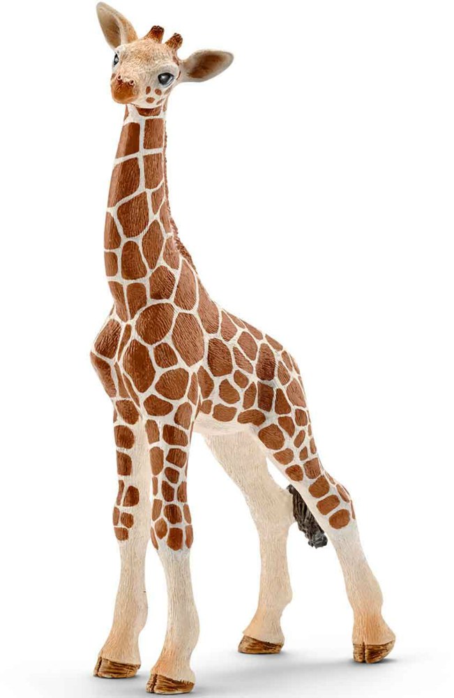 167-14751 Giraffenbaby                  