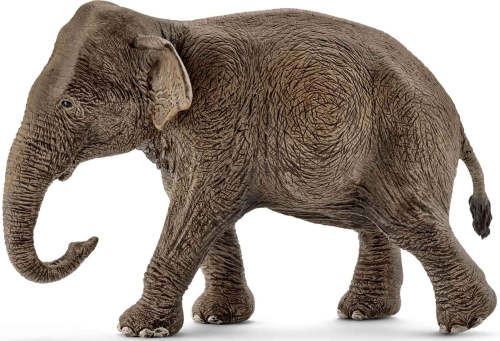 167-14753 Schleich Asiatische Elefantenk