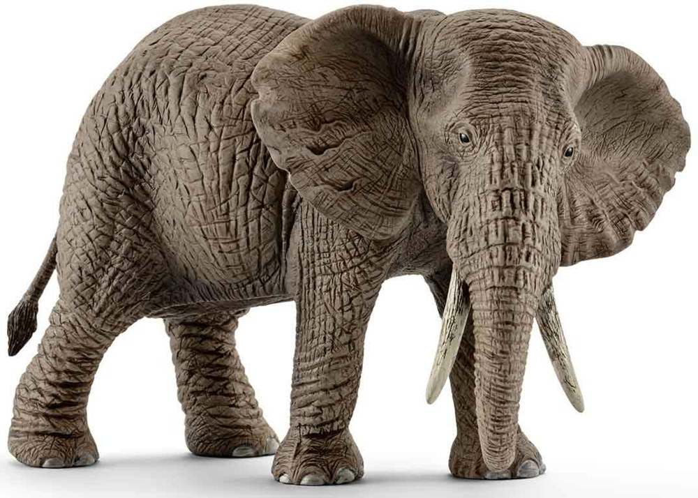 167-14761 Afrikanische Elefantenkuh Spie