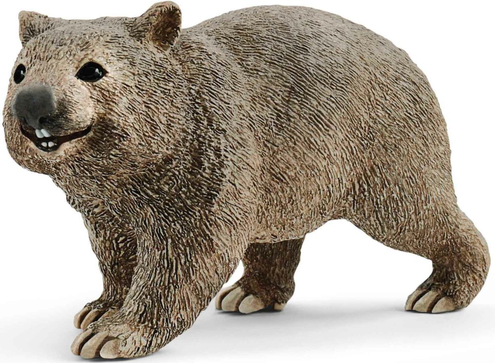 167-14834 Wombat                        