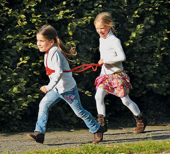 goki 63951 Pferdeleine mit Bestickung 1 Stück rot