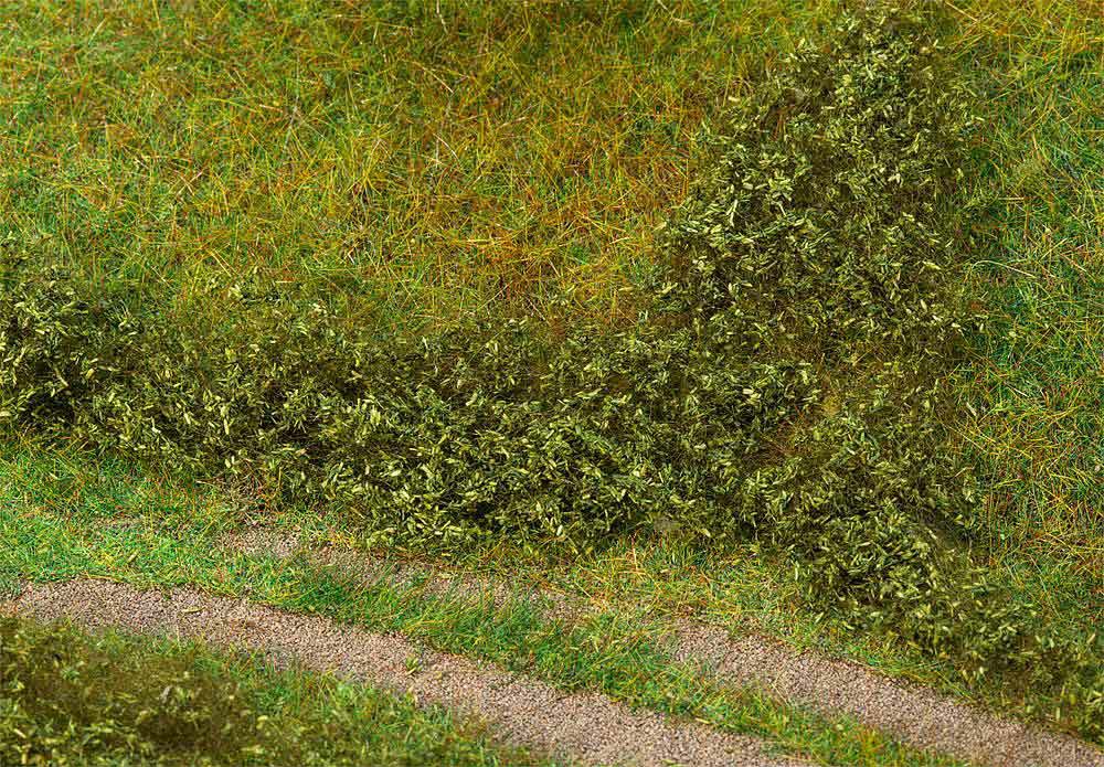 328-181618 Blätterfoliage, sommergrün    