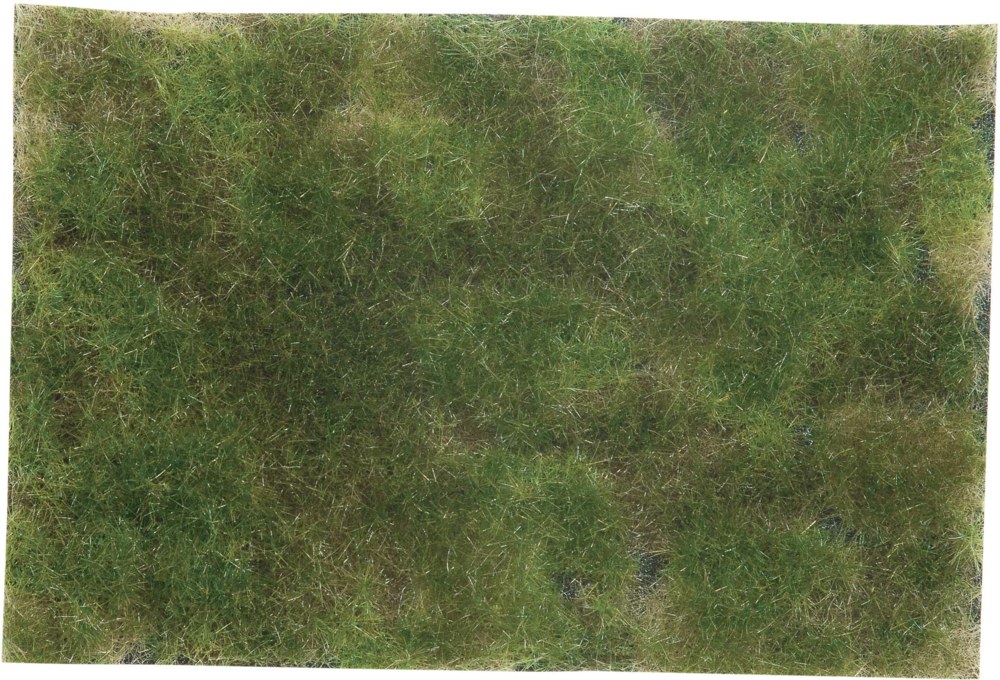 330-7251 Bodendecker-Foliage olivgrün N