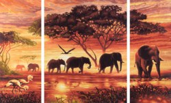 020-609260455 Afrika – Elefantenkarawane Mal