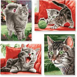 020-609340554 Samtpfoten Quattro Schipper, M