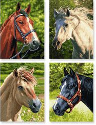 020-609340625 Pferde & Pony Quattro Schipper