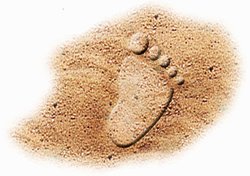 028-7220 Baby-Eimer in 2 Farben sortier