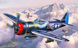 041-03984 P-47 M Thunderbolt Revell Mode