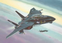 041-04029 Mehrzweckflugzeug F-14A Black 