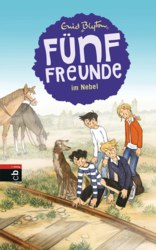 060-17212 Enid Blyton, Fünf Freunde im N