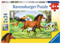 103-08882 Welt der Pferde Ravensburger K