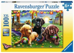 103-12886 Hunde Picknick                