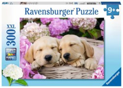 103-13235 S��e Hunde im K�rbchen Ravensb