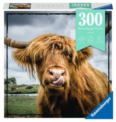 103-13273 Highland Cattle               