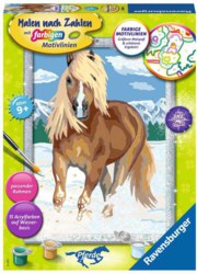 103-28780 Malen nach Zahlen: Haflinger i