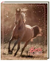 118-71553 Freundebuch I LOVE HORSES - Be