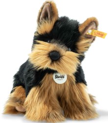 120-076923 Herkules Yorkshire Terrier 24 