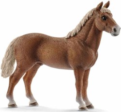 167-13869 Morgan Horse Hengst           