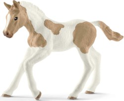 167-13886 Paint Horse Fohlen            