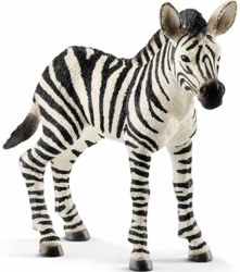 167-14811 Zebra Fohlen                  