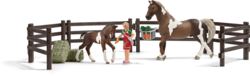 167-21049 Playset Pferdef�tterung       