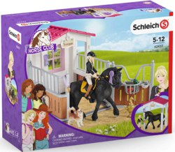 167-42437 Pferdebox Tori & Princess Schl