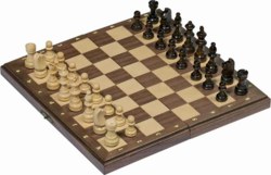 266-56920 Magnetisches Schachspiel in Ho