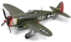 318-300060769 P-47D Thunderbolt Razorback Mo