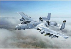 318-510002725 A-10C Blacksnakes Italeri Mo