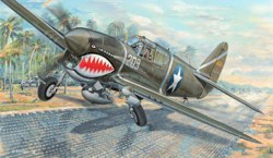 328-753227 Flugzeug P-40F War Hawk Trumpe