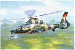 328-755109 Chinese Z-9WA Helicopter Trump