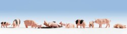 330-36712 Schweine, 12 Figuren NOCH Spur